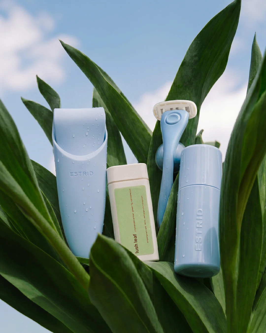 Subscription Products